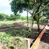 121M2 Ngay Dốc Đồn, P Bảo Vinh, Long Khánh, Đn. Giá Chỉ 890Tr - Ảnh 1