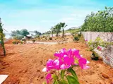 Sở Hữu Ngay Gần 1.000M² Đất Tại Đô Thị Vệ Tinh Hòa Lạc - Ảnh 1