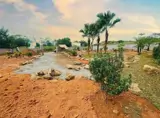 Sở Hữu Ngay Gần 1.000M² Đất Tại Đô Thị Vệ Tinh Hòa Lạc - Ảnh 3