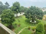 Biệt Phủ Sân Vườn – Mặt Tiền Đường Lớn – Full Nội Thất – Tân Xuân 2, Hóc Môn - Ảnh 3