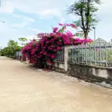 Cạnh Đường Nhựa Xuân Lộc – Long Khánh. Tcsr. Giá Ngộp Chỉ 490Tr - Ảnh 2