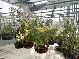 Bán Nhà Đường 339, Phường Phước Long B, Q9, Thủ Đức, Tp Hcm. Dt 100M2, 4 Tầng, Sh. Giá 11,9 Tỷ - Ảnh 5