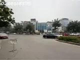 Mặt Phố Nguyễn Văn Huyên - Cầu Giấy - Vị Trí Hoa Hậu - Mặt Tiền Khủng 13M - Xây Tòa Building - Ảnh 3