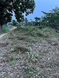 Bán Đất Mặt Tiền Đẹp – Giá Tốt – Thôn Ngân Điền, Xã Sơn Hà, Huyện Sơn Hòa, Tỉnh Phú Yên - Ảnh 3