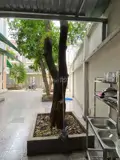 Cho Thuê Phòng Trong Nhà Biệt Thự – Khu Dân Cư Vạn Xuân, Tam Bình, Thủ Đức - ảnh 3