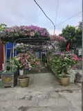 Chính Chủ Bán Nhà Mặt Tiền Lý Thái Tổ Đồ Sơn – Gần Biển Đồi Rồng – 65M2 – 3.3 Tỷ – Kinh Doanh Tốt - Ảnh 2