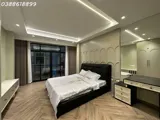 Phân Lô Kim Mã - Ba Đình - Sát Vinhomes Giảng Võ - 6 Tầng Thang Máy - Gara Ô Tô - Ảnh 3