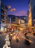 Nhà Chính Chủ - Vị Trí Siêu Đẹp - Mặt Tiền Phan Đình Phùng , Đà Lạt– Giá 28,5 Tỷ - Ảnh 4