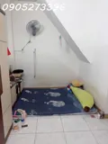 Ngay Chợ Ông Hoàng P9 Tân Bình Thiên Phước & Lý Thường Kiệt - Chính Chủ - Hẻm Xe Hơi Nhỏ - Diện - Ảnh 4