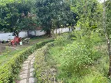 Siêu Phẩm Biệt Phủ Mặt Tiền Dương Công Khi – Dòng Tiền Khủng - Ảnh 4