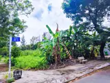 Chủ Ngộp Cần Ra Nhanh Lô Đất Vị Trí Đẹp Phước Kiển Nhà Bè - Ảnh 2