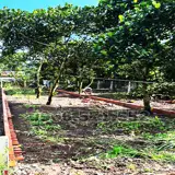 210M² Thổ Cư, Ngay Chợ Hàm Nghi – Tp Long Khánh – Đn. Cơ Hội X2,3 Tài Sản - Ảnh 1