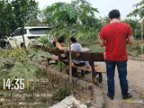 Cần Bán Lô Đất 47,5M Phúc Thọ - Ảnh 2