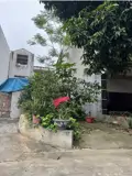 Chính Chủ Bán Đất Đẹp Khu Đồi Ông To – Phường Nông Trang, Tp. Việt Trì, Phú Thọ - Ảnh 1