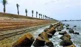 Bán Đất Mặt Tiền Vị Trí Đẹp – Chính Chủ Cần Bán Đất Tại P. Lạc Đạo, Tp. Phan Thiết, Bình Thuận - Ảnh 3