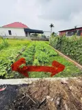 Bán Đất Đoan Xá 2 - Đoàn Xá - Kiến Thụy - Hải Phòng - Ảnh 3