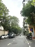 Mặt Phố Phùng Chí Kiên- Cầu Giấy - Vỉa Hè Rộng - 7 Tầng Tm - Thông Sàn - Dt 100Tr/th - Ảnh 1
