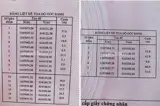Đất Đẹp – Giá Tốt – Chính Chủ Cần Bán Lô Đất Liền Kề ( Đất Ao) Xã An Thới Đông, Cần Giờ, Tp. Hcm - Ảnh 3