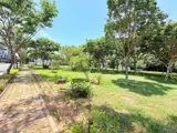 Lô Góc 2Mt Phạm Xuân Ẩn - Thanh Lương 24 - View Công Viên - Gần Sông - 165M Hoà Xuân Cẩm Lệ - ảnh 3
