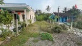 Chính Chủ Cần Bán Đất Đã Có Sổ Riêng – Pháp Lý Rõ Ràng - Huyện Cần Đước - Long An - Ảnh 2