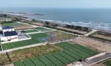 Tài Chính Nhỏ Dưới 2 Tỷ - Sở Hữu Ngay Lô Đất Biển: 1: Nằm Đối Diện Bãi Tắm Và Khu Đô Thị Biển Của T - Ảnh 3