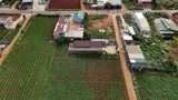 Bán Đất Ở Bồng Lai - Đức Trọng - Ảnh 2
