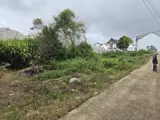 Bán Đất Phường Lâm Viên, Đà Lạt - Ảnh 3