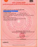 Đầu Tư Sinh Lời Cao - Giá Tốt - Cần Bán Lô Đất Xã An Khánh, Thành Phố Hải Phòng Tiềm Năng Tăng Giá - Ảnh 2