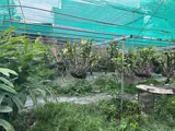 Bán Đất 2 Mặt Tiền Đường Dương Công Khi – Diện Tích Lớn – Tiềm Năng Khai Thác Cao - Ảnh 1