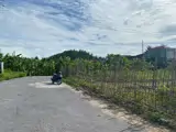 Bán Lô Đất Giá Cực Tốt Tại Khu Đấu Giá Tam Kiệt, Trung Tâm Xã Hữu Bằng (Nay Là Xã Kiến - Ảnh 4