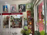 Tân Bình ! Mb Đẹp Lắm, Sang Mb Giá Rẻ Thích Hợp Kinh Doanh Nail Room , Spa , Salon , Shop , - Ảnh 1