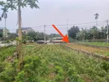 Anh Trai Em Làm Ăn Kinh Doanh Đầu Năm Thua Lỗ Nhờ Em Đăng Bán 100M2 Bám Trục Chính Đường Liên Xã - Ảnh 1