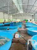 Chính Chủ Sang Nhượng Trang Trại Thủy Sản 1 Héc - Ta Hệ Thống Hiện Đại, Cách Đà Lạt 80Km - Ảnh 2