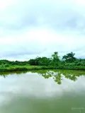 Chính Chủ Sang Nhượng Trang Trại Thủy Sản 1 Héc - Ta Hệ Thống Hiện Đại, Cách Đà Lạt 80Km - Ảnh 1