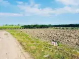 Bán Nhà Thanh Bình - Lâm Hà - Lâm Đồng - Ảnh 2