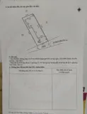 Bán Nhà Đường Nguyễn Hữu Cầu - Phường Lâm Viên . (P 12 Cũ ) - Ảnh 2