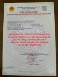 Đất Chính Chủ - Thổ Cư 100% Hàng F0 Đan Kim, Xã Liên Nghĩa, Huyện Văn Giang, Hưng Yên - Ảnh 1