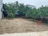 Đất Chính Chủ - Thổ Cư 100% Hàng F0 Đan Kim, Xã Liên Nghĩa, Huyện Văn Giang, Hưng Yên - Ảnh 3