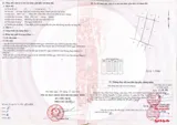 Chính Chủ Bán Đất Sẵn Sổ Giá Tốt Nhất Xuân Thới Sơn - Ảnh 3