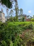 [D2284] Đất Sổ Hồng Riêng Vườn Cau Đỏ - Nở Hậu Đắc Lộc Giá Lộc Phát 9.X Tỷ! - Ảnh 1