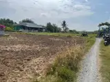 Đất Đẹp - Giá Tốt - Chính Chủ Cần Bán Nhanh Lô Đất Xã Long Sơn, Huyện Cần Đước, Long An - Ảnh 3