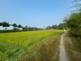 Đất Nhà Vườn – Giá Tốt – Chính Chủ Cần Bán Đất Tại Thôn 4, Xã An Nhơn Cũ, Huyện Đạ Tẻh, Lâm Đồng - Ảnh 3