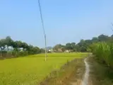 Đất Nhà Vườn – Giá Tốt – Chính Chủ Cần Bán Đất Tại Thôn 4, Xã An Nhơn Cũ, Huyện Đạ Tẻh, Lâm Đồng - Ảnh 4