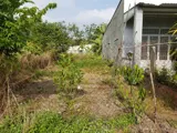 Bán Đất Nền Chính Chủ Giá Tốt Tại Bàu Bàng – Vị Trí Đẹp, Đường Bàn Cờ, Phù Hợp Xây Nhà Ở Hoặc Đầu Tư - Ảnh 3