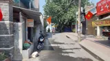 Bán 2 Lô Đất Giá Tốt Nhất Trường Thọ – Gần Hồ Văn Tư – Kha Vạn Cân – Võ Văn Ngân - Ảnh 2