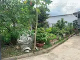 Gấp Gấp – Siêu Phẩm Đất Lớn Nở Hậu Dương Công Khi – Giá Chỉ 11 Tỷ (Tl) - Ảnh 2