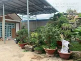 Gấp Gấp – Siêu Phẩm Đất Lớn Nở Hậu Dương Công Khi – Giá Chỉ 11 Tỷ (Tl) - Ảnh 1
