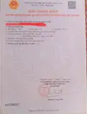 Chính Chủ Cần Bán Đất Mặt Tiền Đường Đường Tân Triều, Xã Tân Bình, Huyện Vĩnh Cửu, Đồng Nai - Ảnh 2