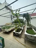 D2302 Nhà Phố Lê Đức Thọ Gò Vấp - Ngộp Sâu Hạ Chào Chỉ Còn 8.X Tỷ? - Ảnh 4