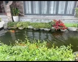 Cho Thuê Nhà 3 Phòng Yersin, Phường 9, Đà Lạt 65 Triệu/tháng - Ảnh 5